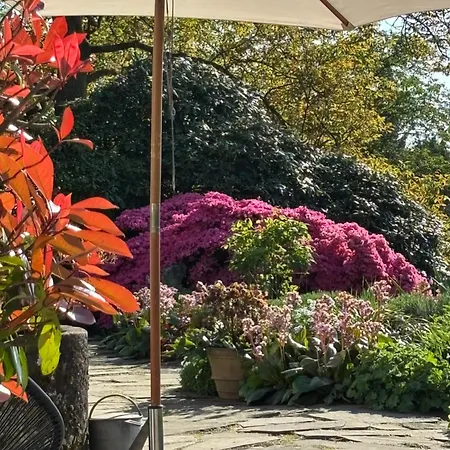 아파트 Im Gruenen Cottage33 *